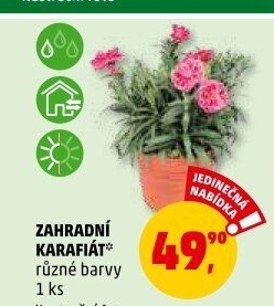 Karafiát