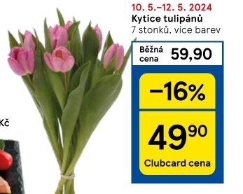 Řezané tulipány
