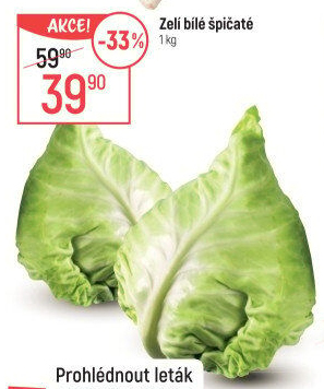 Zelí špičaté bílé