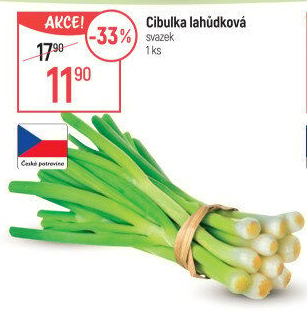 Jarní cibule svazek