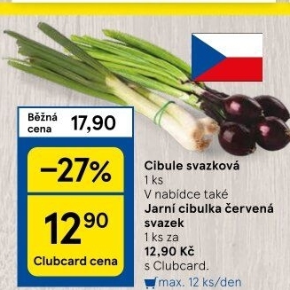 Jarní cibule svazek