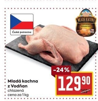 Kachna mladá Vodňanská kachna