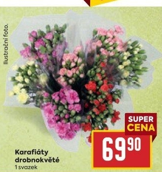 Řezaný karafiát