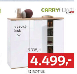 BOTNÍK