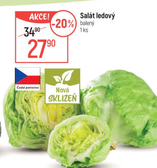 Salát ledový