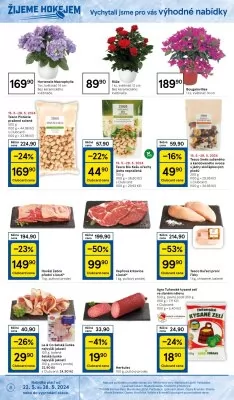akční leták Tesco 22.5.2024-28.5.2024