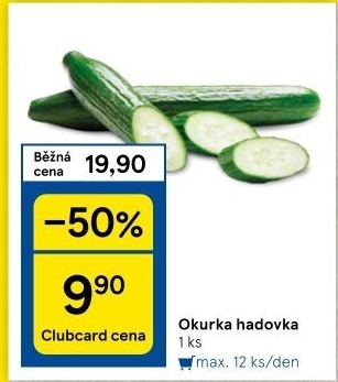 Okurka salátová - hadovka