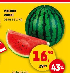 Meloun vodní