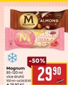 Nanuk Magnum Algida