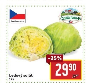 Salát ledový Česká farma