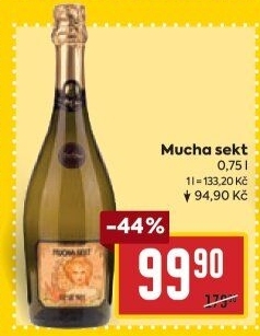 Sekty Mucha