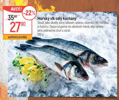 Vlk mořský kuchaný