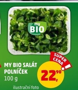 Salát polníček My BIO