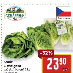 Salát little gem Česká farma