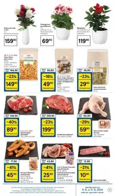 akční leták Tesco 5.6.2024-11.6.2024