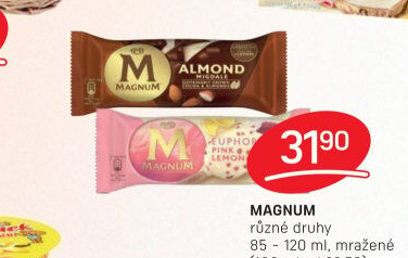 Nanuk Magnum Algida