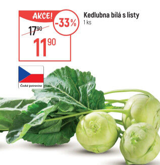 Kedlubna bílá