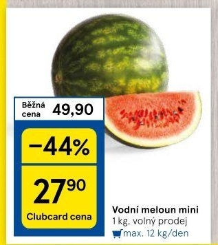 Meloun vodní Baby