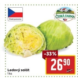Salát ledový Česká farma