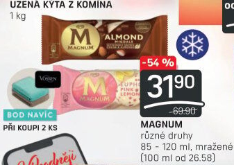 Nanuk Magnum Algida