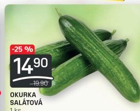 Okurka salátová - hadovka