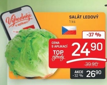 Salát ledový