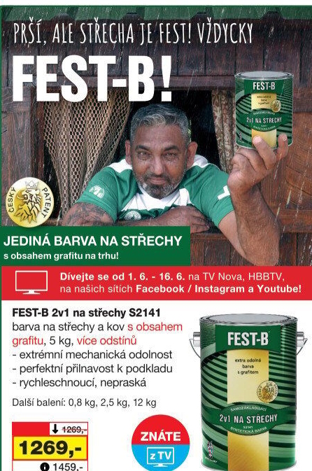 Nátěr na střechy i železo Fest - B 2v1