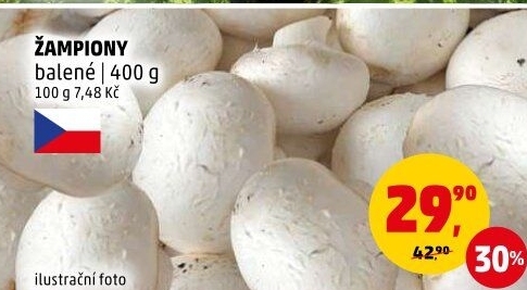 Žampiony