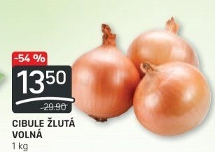Cibule kuchyňská žlutá