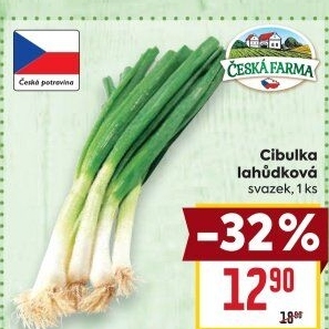 Jarní cibule svazek Česká farma