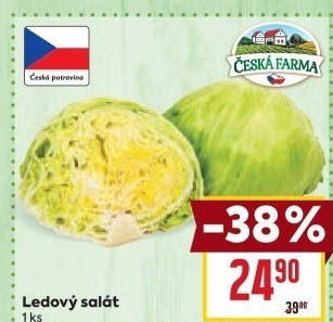 Salát ledový Česká farma