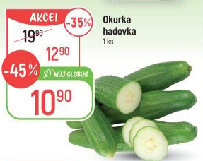 Okurka salátová - hadovka