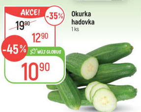 Okurka salátová - hadovka