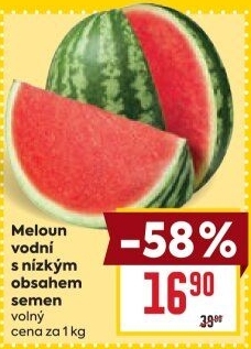 Meloun vodní