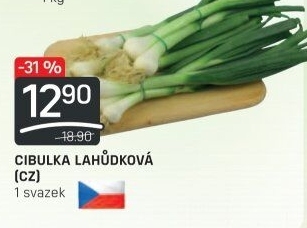Jarní cibule svazek