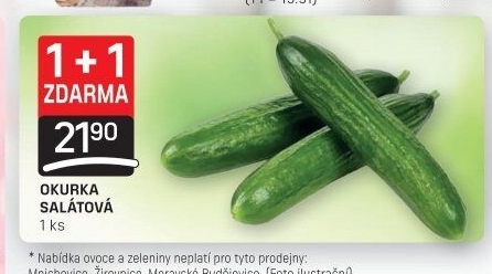 Okurka salátová - hadovka