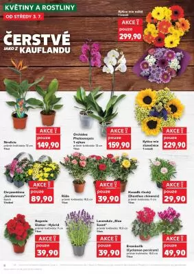 akční leták Kaufland 3.7.2024-9.7.2024
