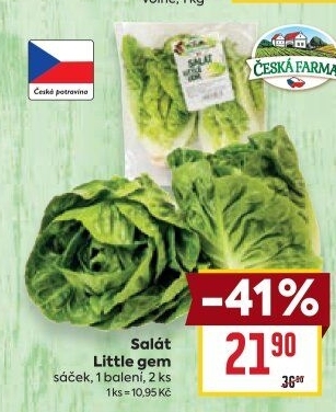 Salát little gem Česká farma