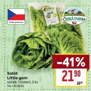 Salát little gem Česká farma