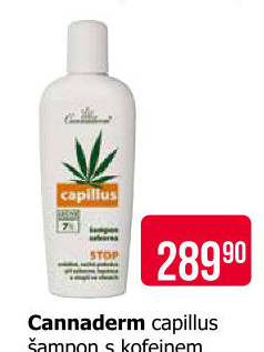 Šampon Capillus Cannaderm
