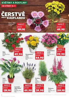 akční leták Kaufland 10.7.2024-16.7.2024