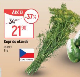Kopr čerstvý svazek
