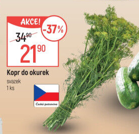 Kopr čerstvý svazek