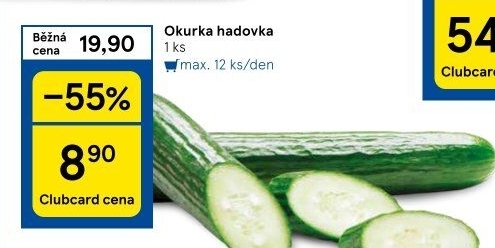 Okurka salátová - hadovka