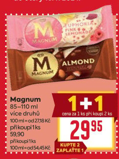Nanuk Magnum Algida