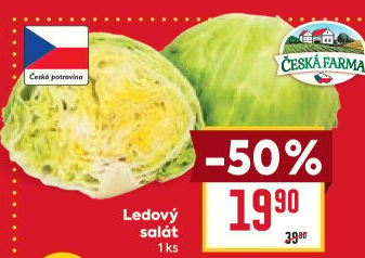 Salát ledový Česká farma