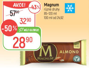 Nanuk Magnum Algida