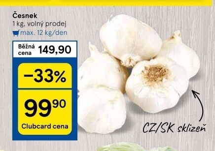 Česnek