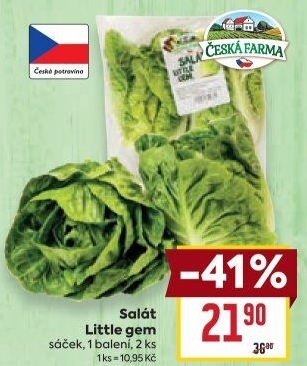 Salát little gem Česká farma