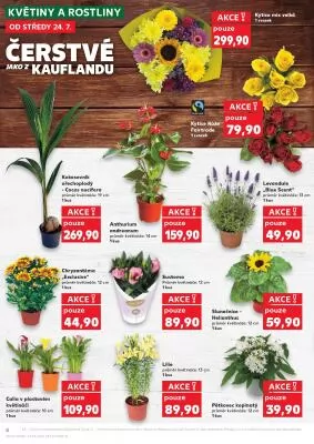akční leták Kaufland 24.7.2024-30.7.2024